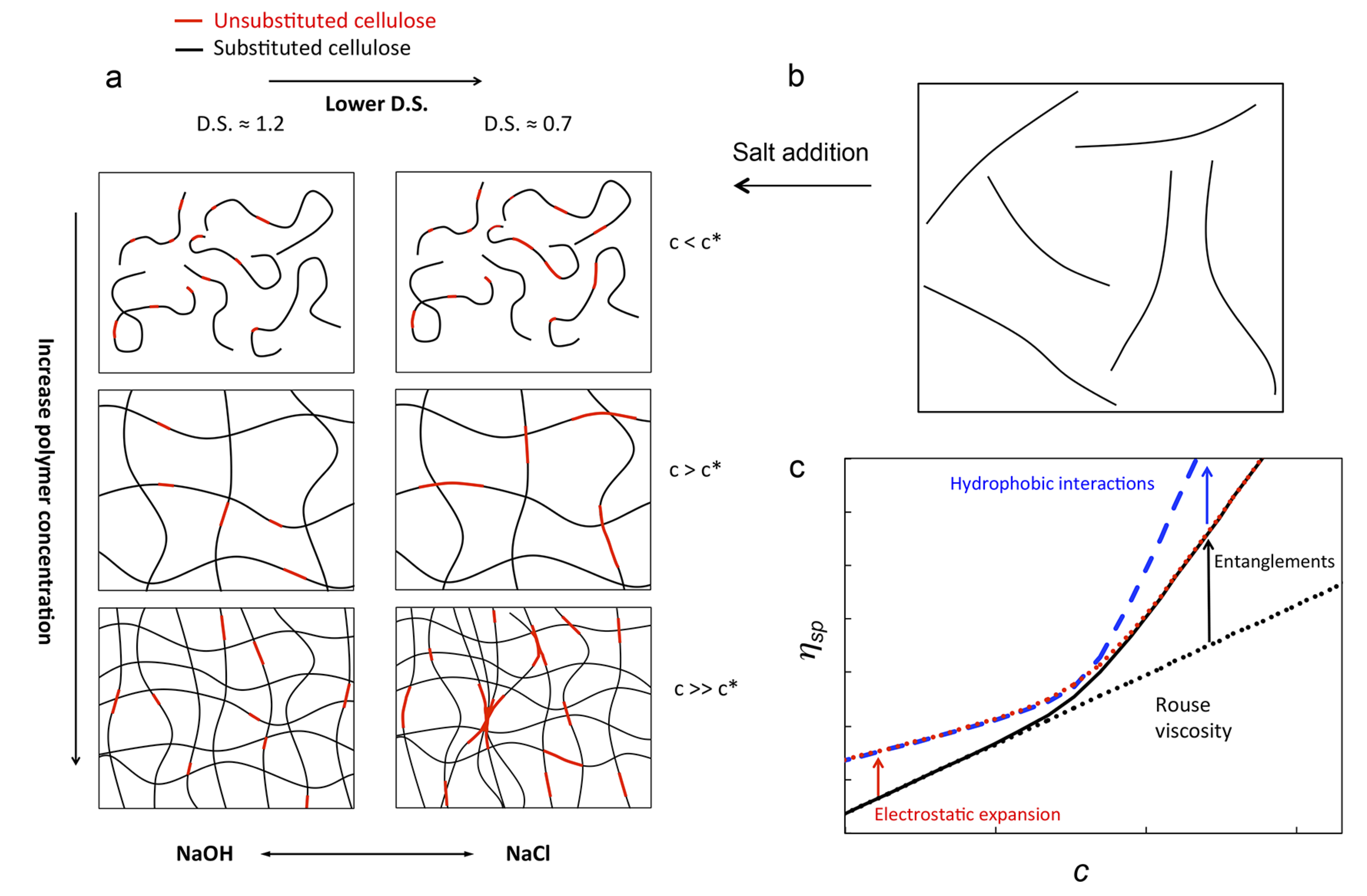 Polysaccharide Entanglement Summary